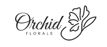 clients 13 copyright